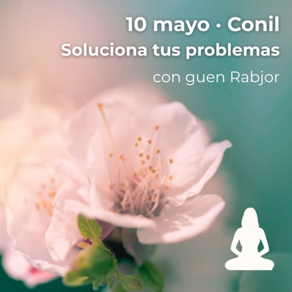 Conil: Cómo solucionar nuestros problemas